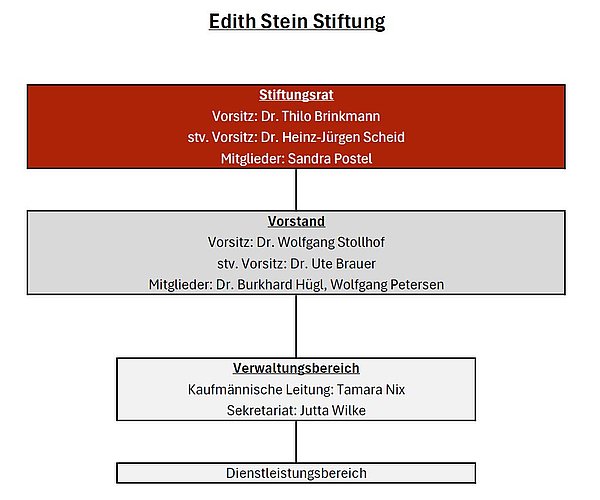 Organigramm der Edith Stein Stiftung mit Stiftungsrat, Vorstand, Verwaltungsbereich und Dienstleistungsbereich